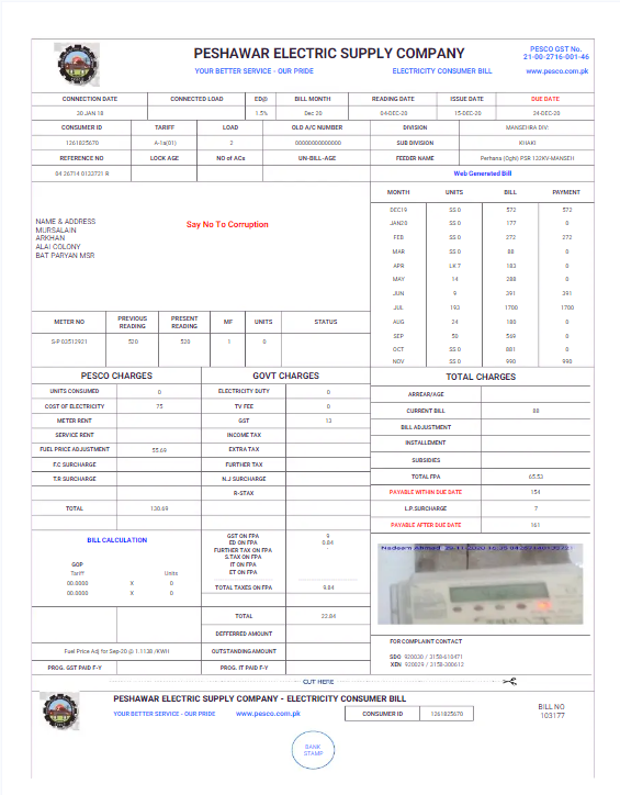 PAKISTAN PESHAWAR ELECTRIC SUPPLY COMPANY utility bill Word and PDF template